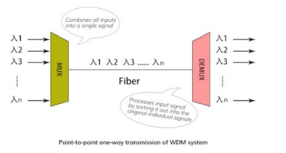 Choice of WDM